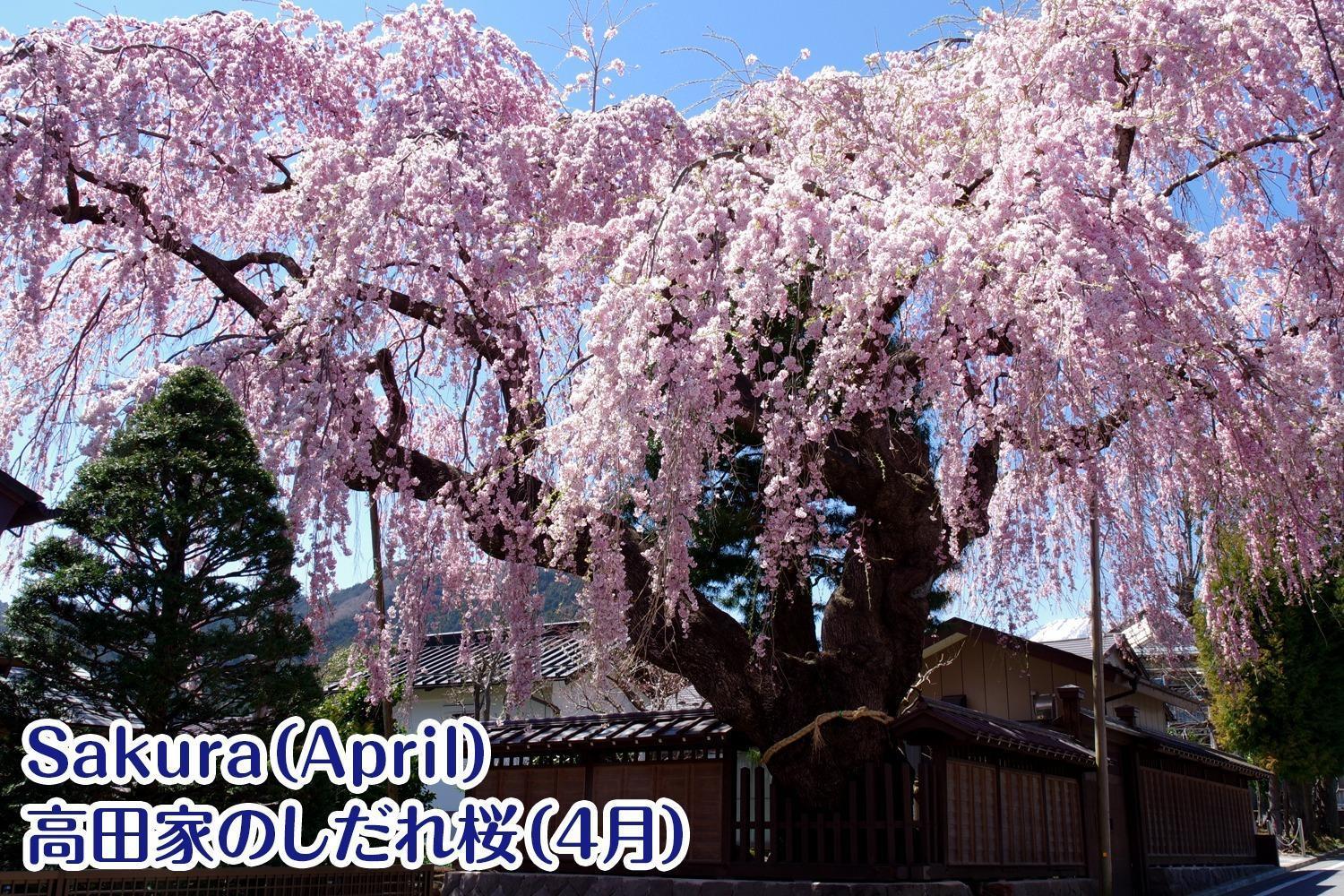 Nikko Stay House Arai - Vacation Stay 14988V Bagian luar foto